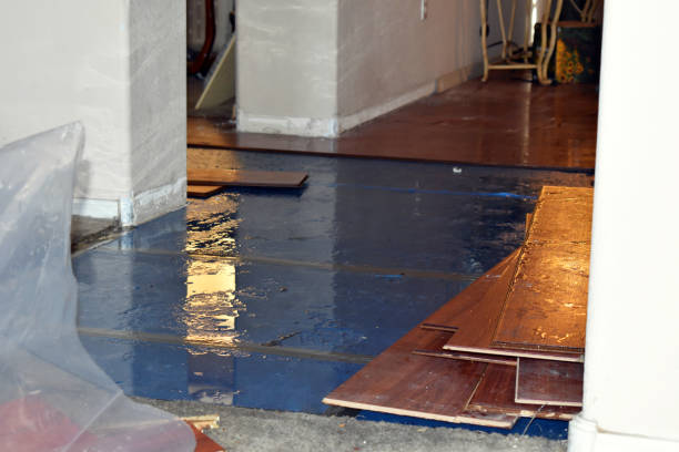 Professional Water Damage Restoration technician working in Springtown, PA